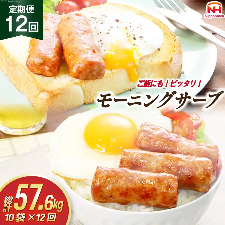 定期便 モーニングサーブ 480g 10袋 計4.8kg 12回 総計57.6kg [ 日本ハム マーケティング 静岡県 吉田町 22424313]