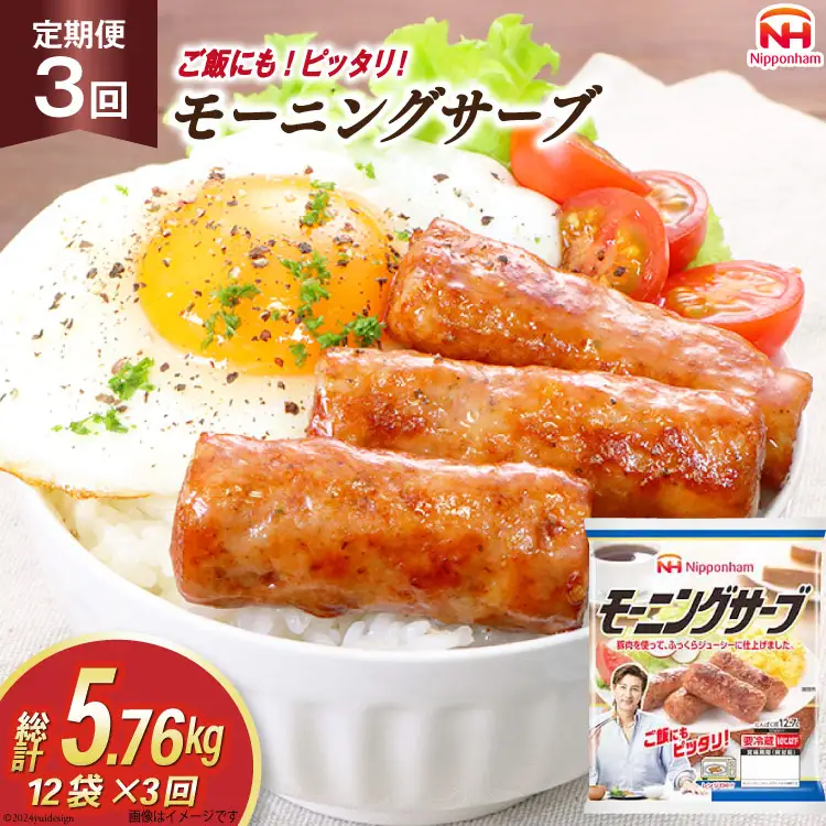 定期便 モーニングサーブ 標準96本 (160g 12袋 計1.92kg) 3回 総計5.76kg [ 日本ハム マーケティング 静岡県 吉田町 22424406]
