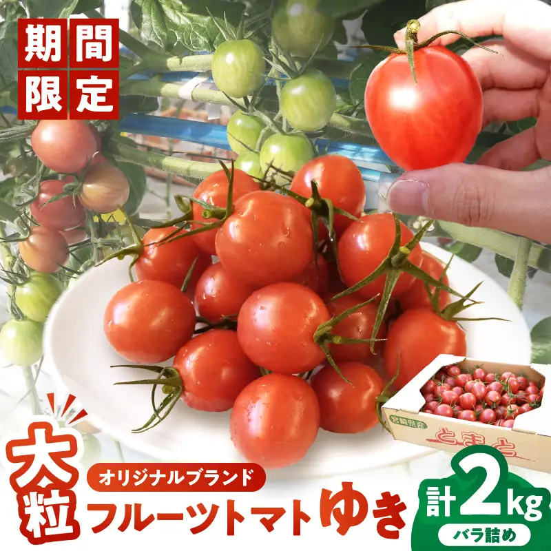 ≪期間限定≫オリジナルブランド「フルーツトマト ゆき」計2kg ミニトマト 野菜 サラダ 国産_T047-0045
