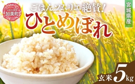 玄米 ひとめぼれ 玄米 玄米 玄米 玄米