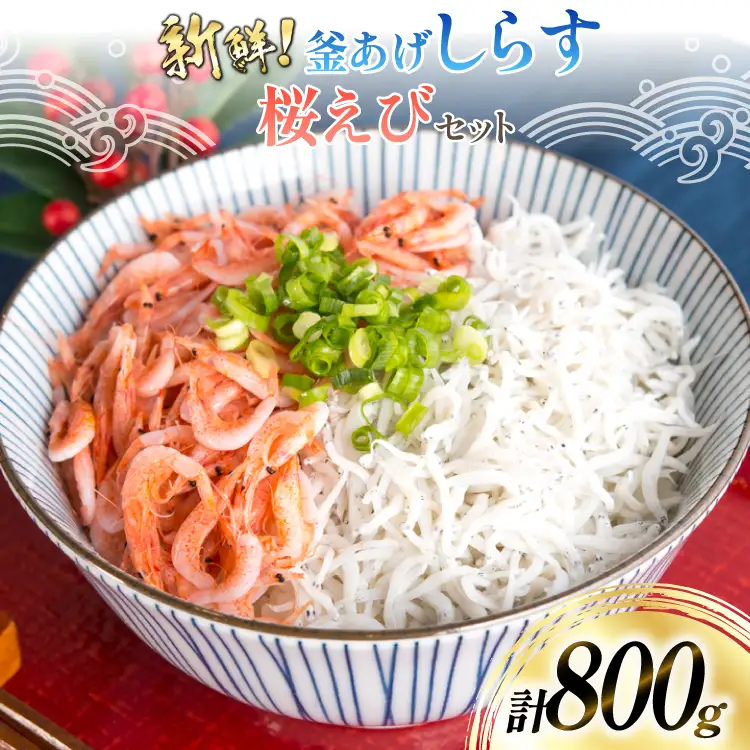 【明治神宮奉献品！】 釜揚げしらす 500g 釜揚げ桜えび 300g [丸三水産 静岡県 吉田町 22424486]