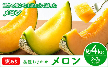 【先行予約】メロン 訳ありメロン 品種おまかせ 約4kg 2-7玉 ランダム 株式会社Foody’s 食彩たかみ《2026年5月下旬-7月下旬頃出荷》 おまかせ ご家庭用 メロン フルーツ 菊池市産 熊本県産 九州産 冷蔵 送料無料