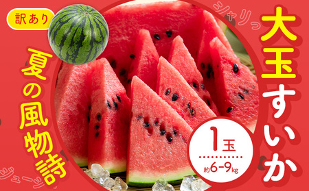 【先行予約】スイカ 訳あり 大玉すいか 1玉 約 6kg ～ 9kg L ～ 3L 混合 株式会社Foody’s 食彩たかみ 《2026年5月下旬-7月下旬頃出荷》 熊本県 菊池市 フルーツ 果物 スイカ すいか 訳あり 大玉 九州産 冷蔵 送料無料