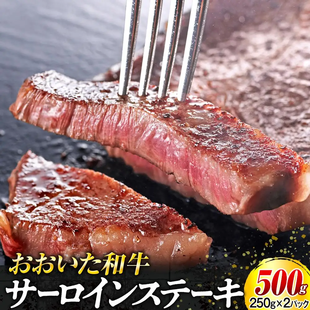 おおいた和牛 サーロインステーキセット 500g（250g×2枚）