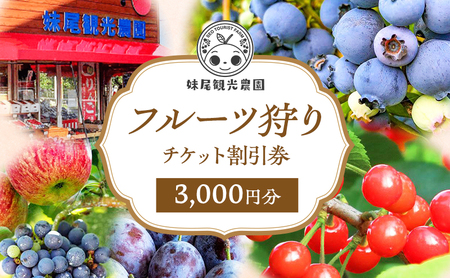 妹尾観光農園 フルーツ狩りチケット3000円 割引 チケット クーポン 利用券 フルーツ 旅行 体験 農園 北海道 仁木町 [フルーツショップ妹尾観光農園]