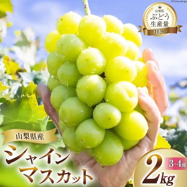 【2026年発送】先行受付 シャインマスカット 山梨 予約 約 2kg 3～ 4房 [OUTTA REACH JAPAN 山梨県 韮崎市 20742972]