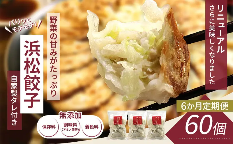 【定期便6回】浜松餃子 60個 (20個×3袋) セット 詰め合わせ 餃子のタレ 小袋 知久屋 国産 ぎょうざ 餃子 ギョーザ 冷凍餃子 静岡 静岡県 浜松市 【配送不可：離島】