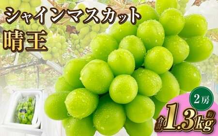 岡山県産 シャインマスカット 晴王 2房 約1.3kg【2026年9月上旬-10月下旬 発送予定】｜種無し 皮ごと食べる 旬の美味しさ フレッシュ 先行予約 ハレノフルーツ