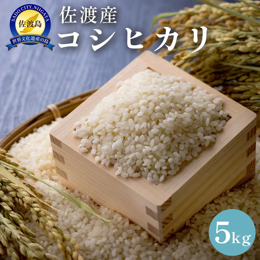 佐渡島産　コシヒカリ　5kg　令和7年産