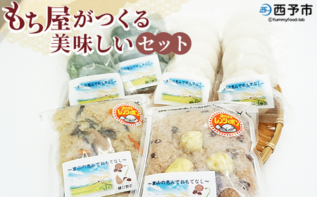 ＜もち屋がつくる美味しいセット＞ もち 餅 モチ 山菜おこわ お赤飯 赤飯 白餅 よもぎ切り餅 あん餅 よもぎ餡餅 あんこ ぜんざい お汁粉 おしるこ 雑煮 お雑煮 食品 詰め合わせ 詰合せ 詰め合せ 樋口餅店 愛媛県 西予市【冷凍】『1か月以内に順次出荷予定』NHM0001