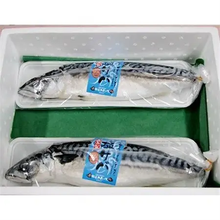 橋立やまいち自慢　旨みたっぷりふっくら塩サバ(大)×2本_魚介・海産物   _【配送不可地域：離島・北海道・沖縄県】【1583692】