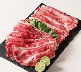 AS-05　鳥取牛スライスセット（700g）