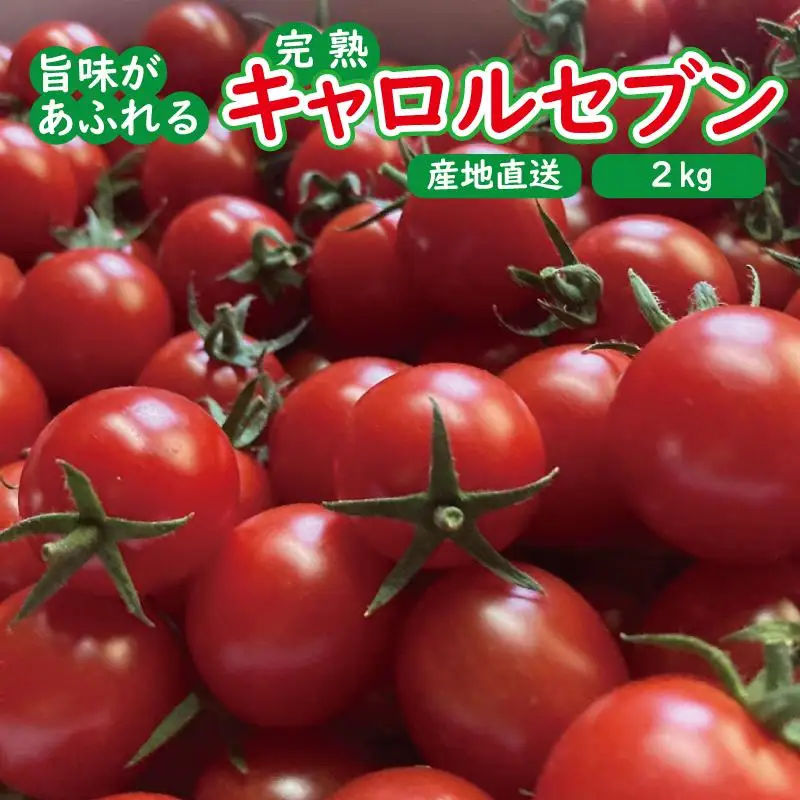 高糖度完熟ミニトマト 約2kg 【キャロルセブン】