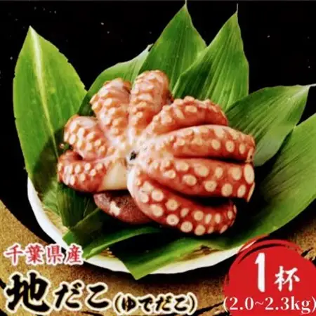 地だこ 1杯(2.0～2.3kg)_魚介・海産物 タコ  たこ 蛸_【配送不可地域：離島】【1580439】
