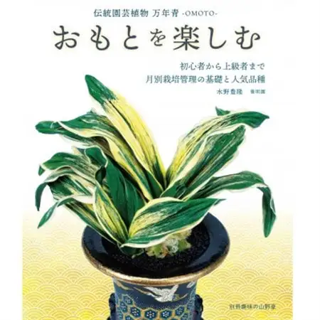 徳川家康公の運気を上げた縁起物!　おもと講座と植え替え体験　【万年青プレゼント!】【1581464】