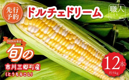 2026年6月中旬から発送【朝採り】ドルチェドリーム　１２本入り（約５kg）　ヒルサイドオーチャード[5839-2089]