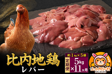 【定期便11ヶ月】比内地鶏 レバー 5kg(1kg×5袋) 5kg 国産 冷凍 鶏肉 鳥肉 とり肉
