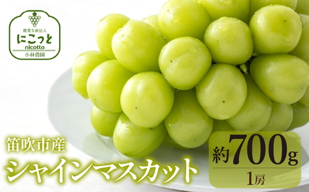 【2026年発送★先行予約】シャインマスカット700g（１房） 097-022-26y