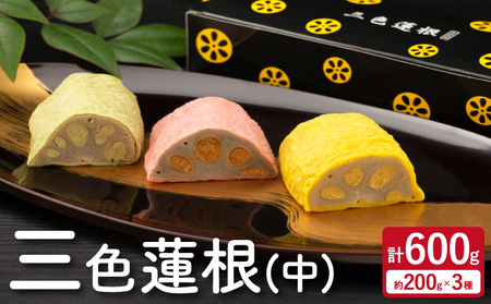三色蓮根 (中) 約200g × 3本 合計 約600g