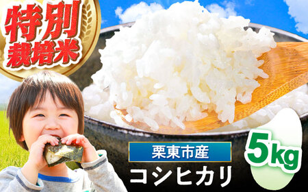 【令和7年度産】 特別栽培米 コシヒカリ 5kg [BIBV007] 近江米