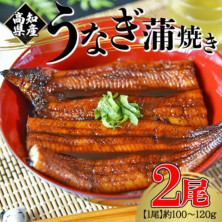 国産 うなぎ 蒲焼き 2尾 計200g以上 うなぎ fb-0142