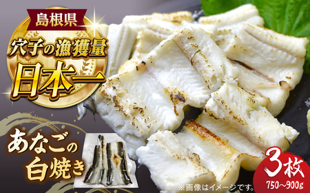 魚 あなごの白焼き3枚セット 島根県松江市/海ひこ株式会社[ALDY010] 魚 魚