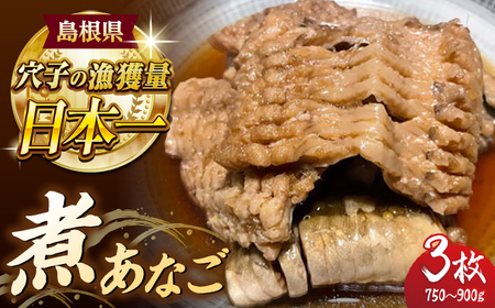 魚 煮あなご3枚セット 島根県松江市/海ひこ株式会社[ALDY011] 魚 魚