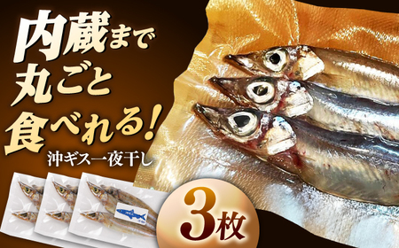 一夜干し 沖ギス(ニギス)の一夜干し3枚セット 島根県松江市/海ひこ株式会社[ALDY012] 一夜干し 一夜干し