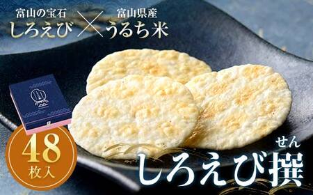 しろえびせんべいプレミアム しろえび撰48枚入り 日の出屋製菓産業 せんべい 煎餅 個包装 しろえび 白エビ 薄焼き ギフト 富山県 立山町 お歳暮 お中元 F6T-723