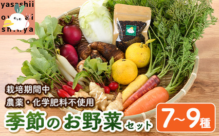 季節のお野菜 セット(7～9種) 野菜 やさい 詰合せ 詰め合わせ 季節 おまかせ お楽しみ【117000100】【やさしいお野菜 しん屋】