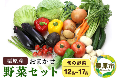 野菜 栗原産 お任せ 野菜 セット（12品～17品） 旬の 新鮮 お野菜