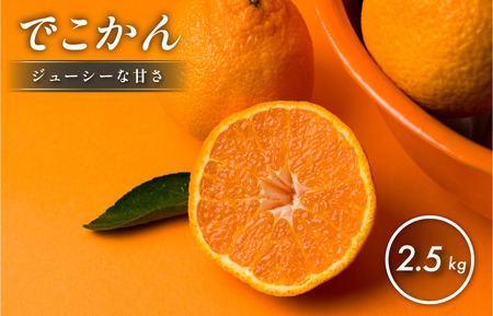 【先行予約】【数量限定】ホリ田ヤ でこかん 2.5kg【K002430】