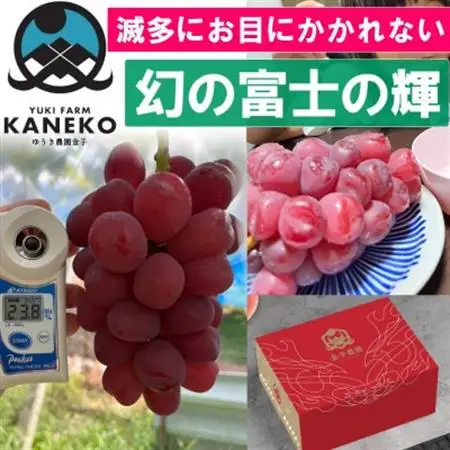 【本場山梨の希少品種】見つけたらラッキーなかなかお目にかかれない富士の輝約2kg9月中旬より発送【配送不可地域：離島】【1579833】