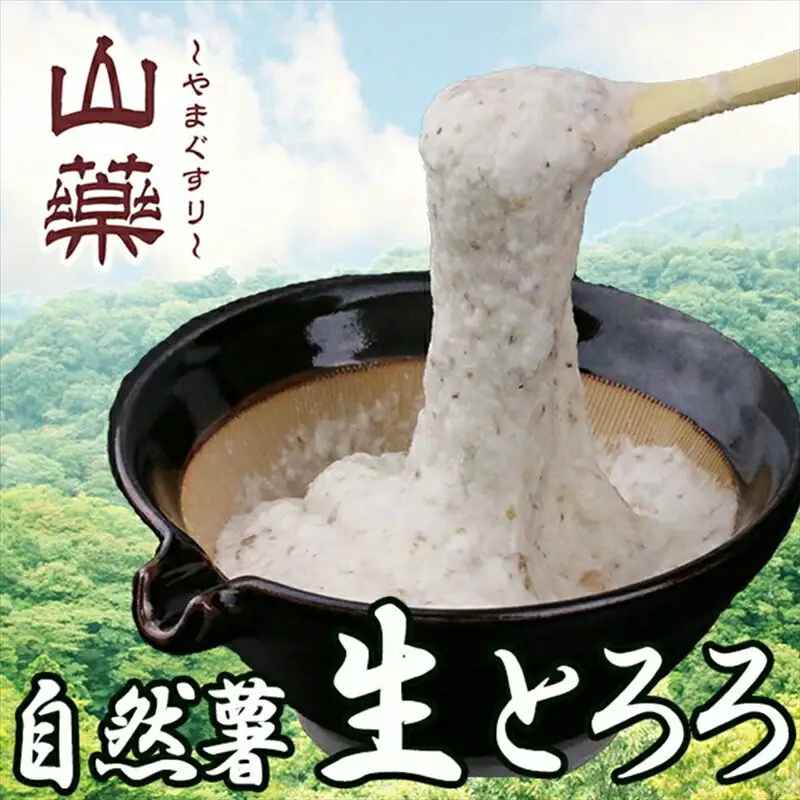 自然薯の味をお楽しみください。自然薯生とろろ100ｇ×30ｐセット【とろろ 極上とろろ 山芋 お家用 家庭用 国産 セット商品 自然薯 神奈川県 小田原市 とろろ】