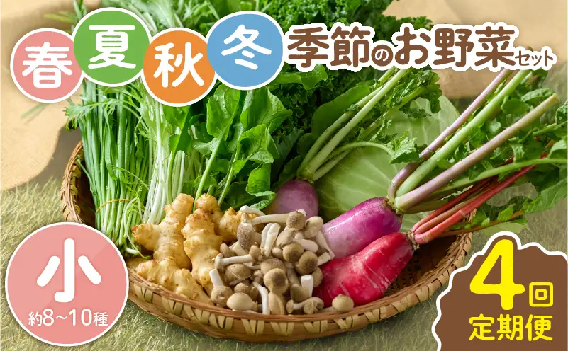 【全４回定期便】春夏秋冬 季節のお野菜セット（サイズ小/約8～10種） 【宮崎県 定期便 詰め合わせ 新鮮 産地直送 おまかせ 季節の野菜 ボックス 農家直送 有機栽培 送料無料 オーガニックのまち 宮崎県綾町】_A0053-013