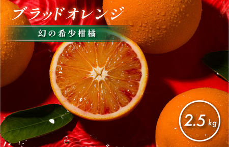 【先行予約】【数量限定】ホリ田ヤ ブラッドオレンジ 2.5kg【K002440】