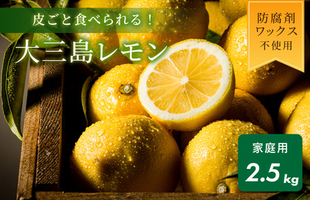 【数量限定】愛媛県今治産 ホリ田ヤの皮ごと食べられる島育ちレモン 2.5kg【K002450】