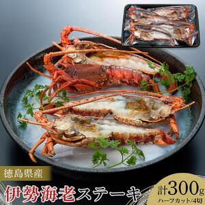 伊勢海老 ステーキ ハーフカット 4切 (計約300g) 海老 えび 海鮮 魚介 鮮魚