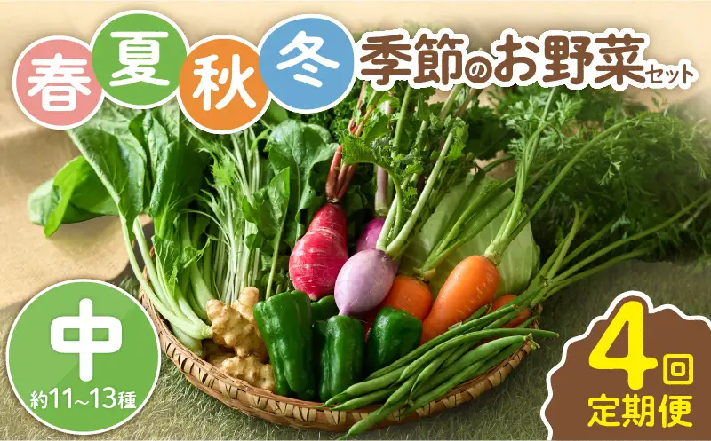 【全４回定期便】春夏秋冬 季節のお野菜セット（サイズ中/約11～13種） 【宮崎県 定期便 詰め合わせ 新鮮 産地直送 おまかせ 季節の野菜 ボックス 農家直送 有機栽培 送料無料 オーガニックのまち 宮崎県綾町】_A0053-014