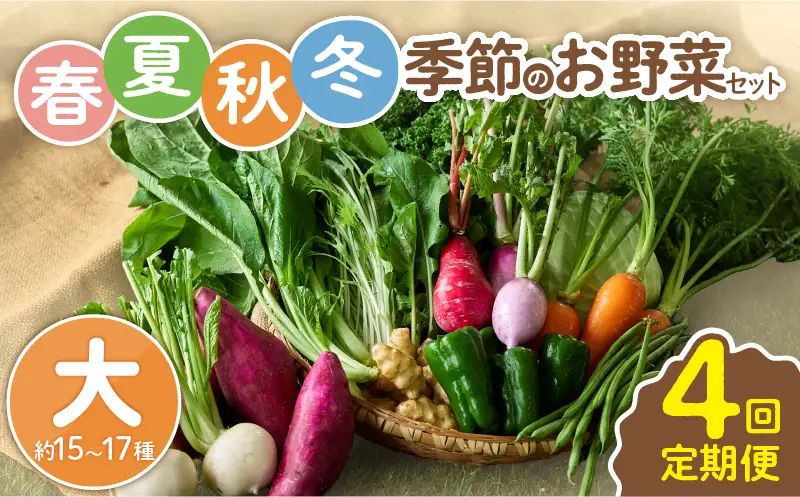 【全４回定期便】春夏秋冬 季節のお野菜セット（サイズ大/約15～17種） 【宮崎県 定期便 詰め合わせ 新鮮 産地直送 おまかせ 季節の野菜 ボックス 農家直送 有機栽培 送料無料 オーガニックのまち 宮崎県綾町】_A0053-015