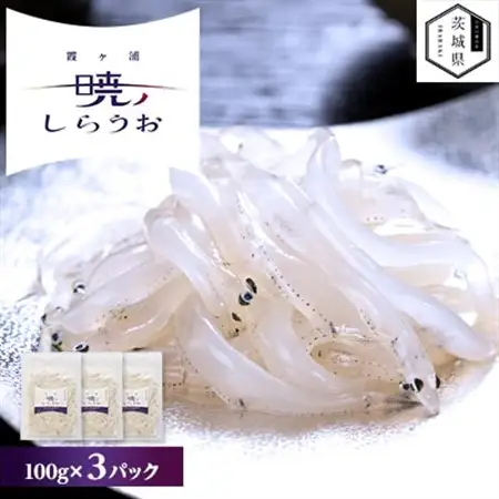 【先行予約】霞ヶ浦　暁のしらうお　100g×3パック_魚介・海産物  鮮魚 _【配送不可地域：離島・沖縄県】【1583295】