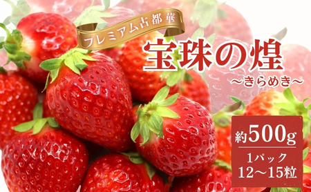 先行予約 【奈良県 佃農園 プレミアム古都華【宝珠の煌（きらめき）】 いちご ことか フルーツ 果物 旬 冷蔵 大和郡山 BN001