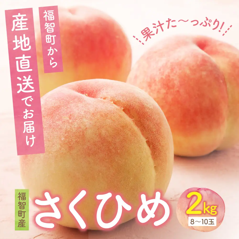 Y20-04 【2026年発送】《予約受付》 ハウス桃 さくひめ 2kg もも