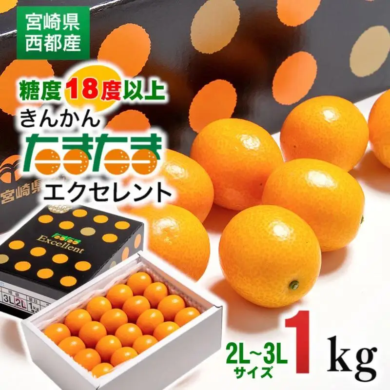 【先行予約】糖度18度以上　宮崎金柑の最高級ブランド『完熟きんかんたまたまエクセレント』1kg　2026年発送＜2-7a＞