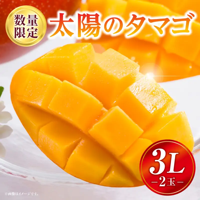 太陽のタマゴ マンゴー 太陽のタマゴ[宮崎 3L 2玉 900g~1kg]