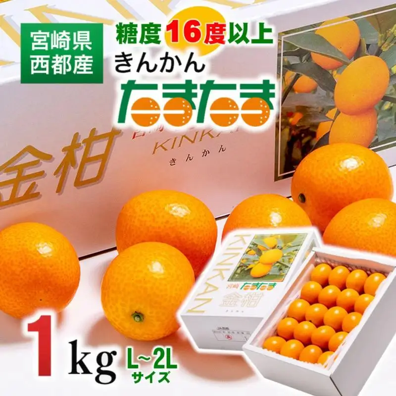 【先行予約】糖度16度以上　「宮崎完熟きんかんたまたま」1kg　宮崎県西都市産 2026年発送＜2-4a＞