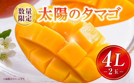 太陽のタマゴ マンゴー 太陽のタマゴ[宮崎 4L 2玉 1.05~1.25kg]