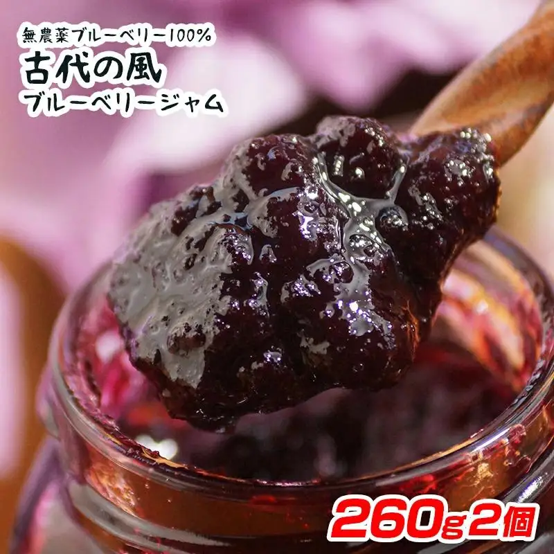 『古代の風』無農薬ブルーベリージャムBig  260g×2個＜23-14a＞