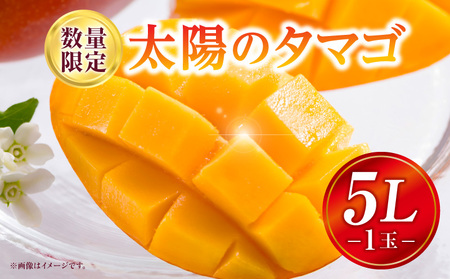 太陽のタマゴ マンゴー 太陽のタマゴ 期間限定[数量限定 《2026年発送》 5Lサイズ 1玉 宮崎マンゴー 完熟 完熟マンゴー 果物 フルーツ くだもの 果肉 果汁 甘い 芳醇 南国フルーツ 南国 特産品 名物 高糖度 ギフト 贈り物 プレゼント]