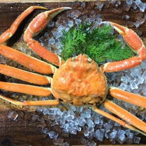 【魚倉】足１本なしボイル松葉ガニ(中650ｇ)訳あり